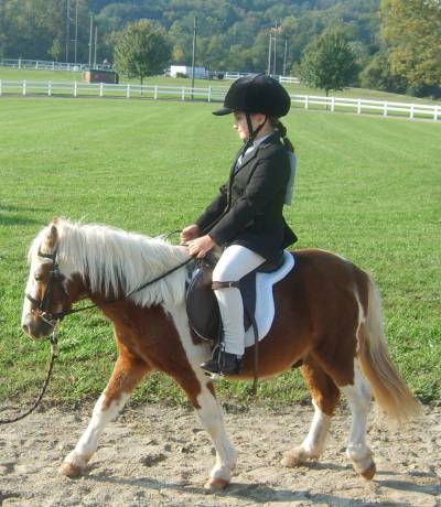 Black English Leather Bridle w/Reins - Mini or Shetland Pony